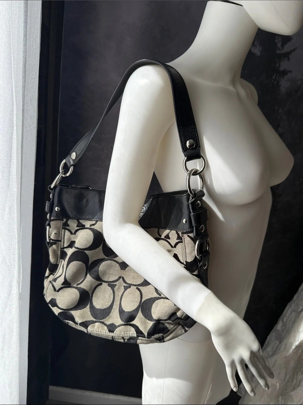 Coach signature canvas